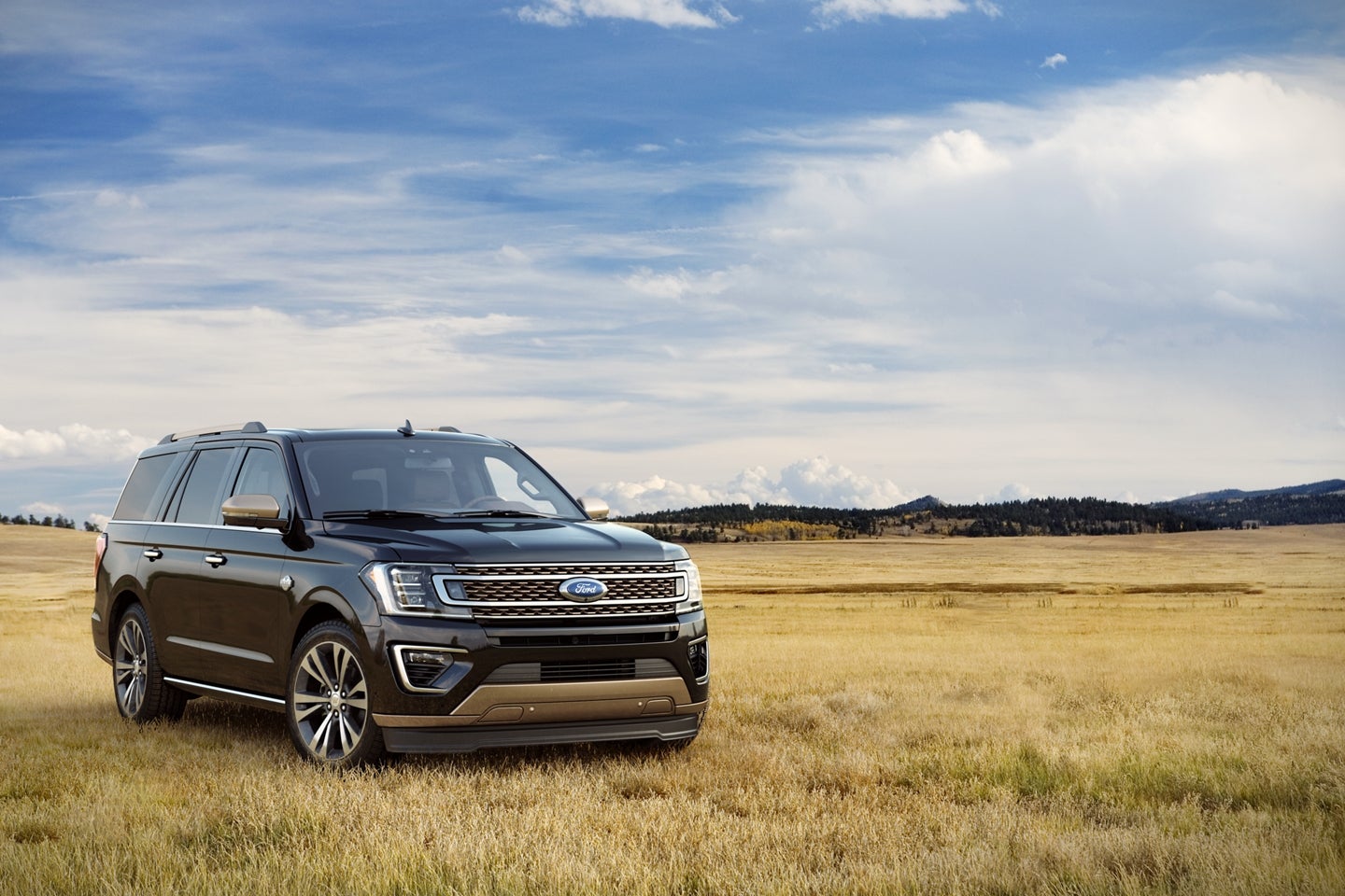 2020 Ford Expedition Lease near Fort Rucker, AL