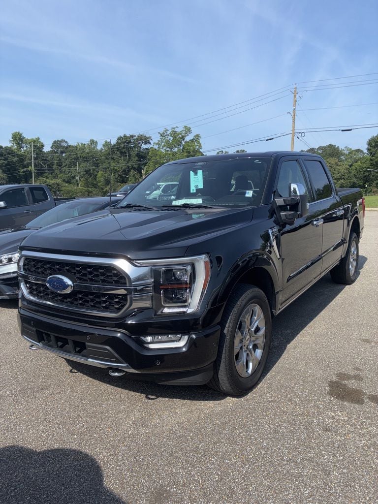 2022 Ford F-150 Platinum