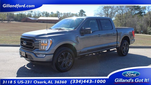 2023 Ford F-150 XLT