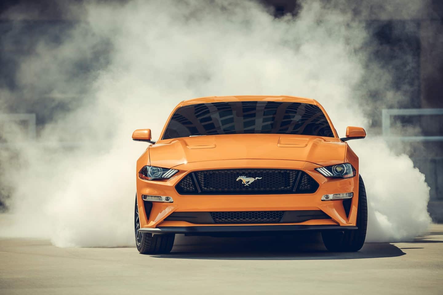 2019 Ford Mustang for Sale near Andalusia, AL