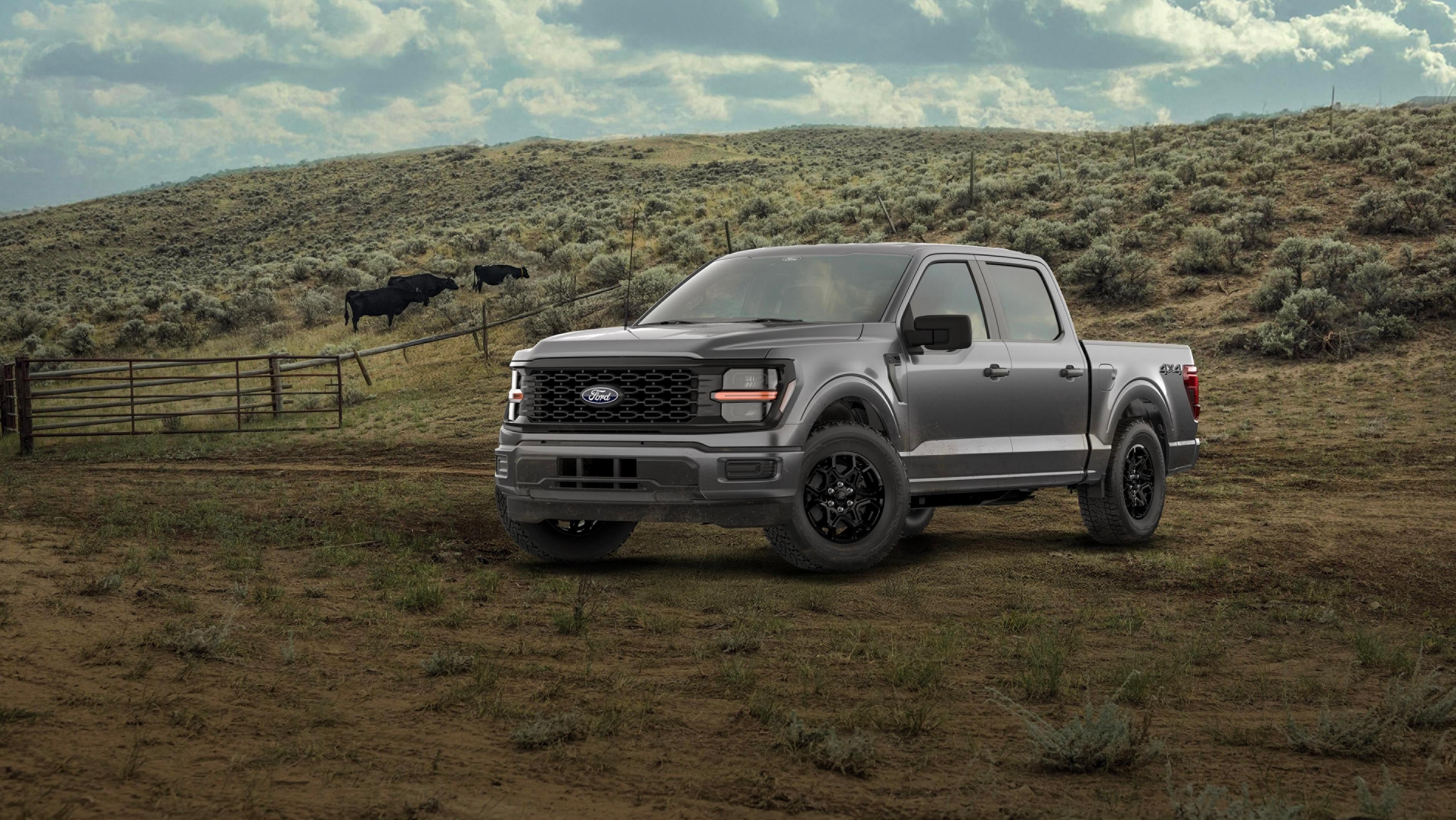 2026 Ford F-150 STX Overview near Dothan, AL