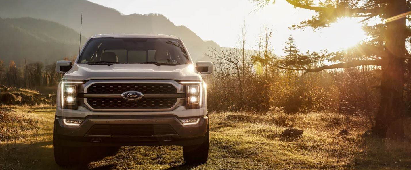 Used Ford F-150 for Sale near Daleville, AL