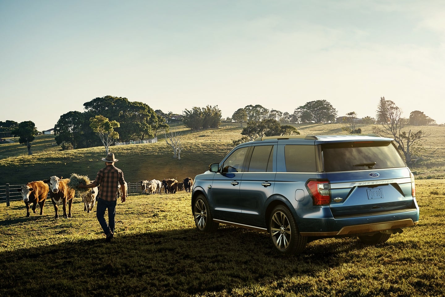 2020 Ford Expedition Lease near Abbeville, AL