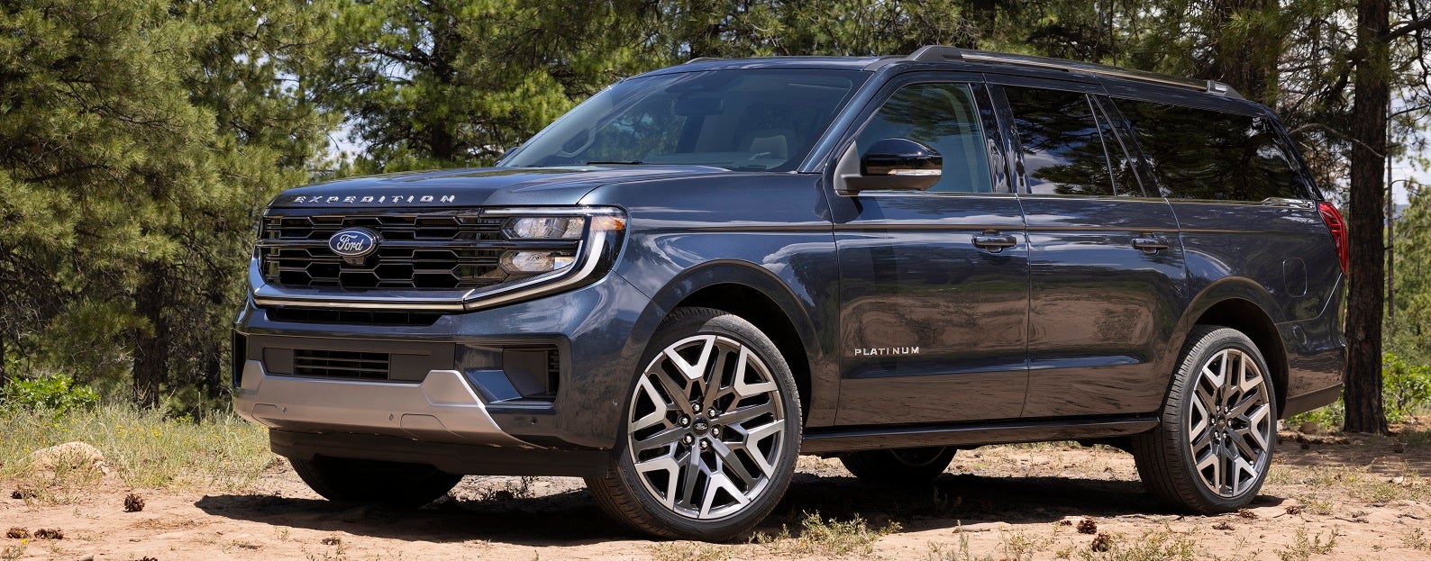 2025 Ford Expedition First Look near Dothan, AL