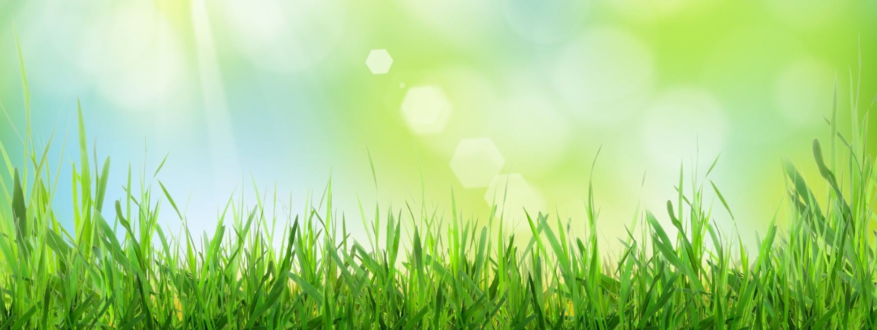 Spring Service and Maintenance near Dothan, AL
