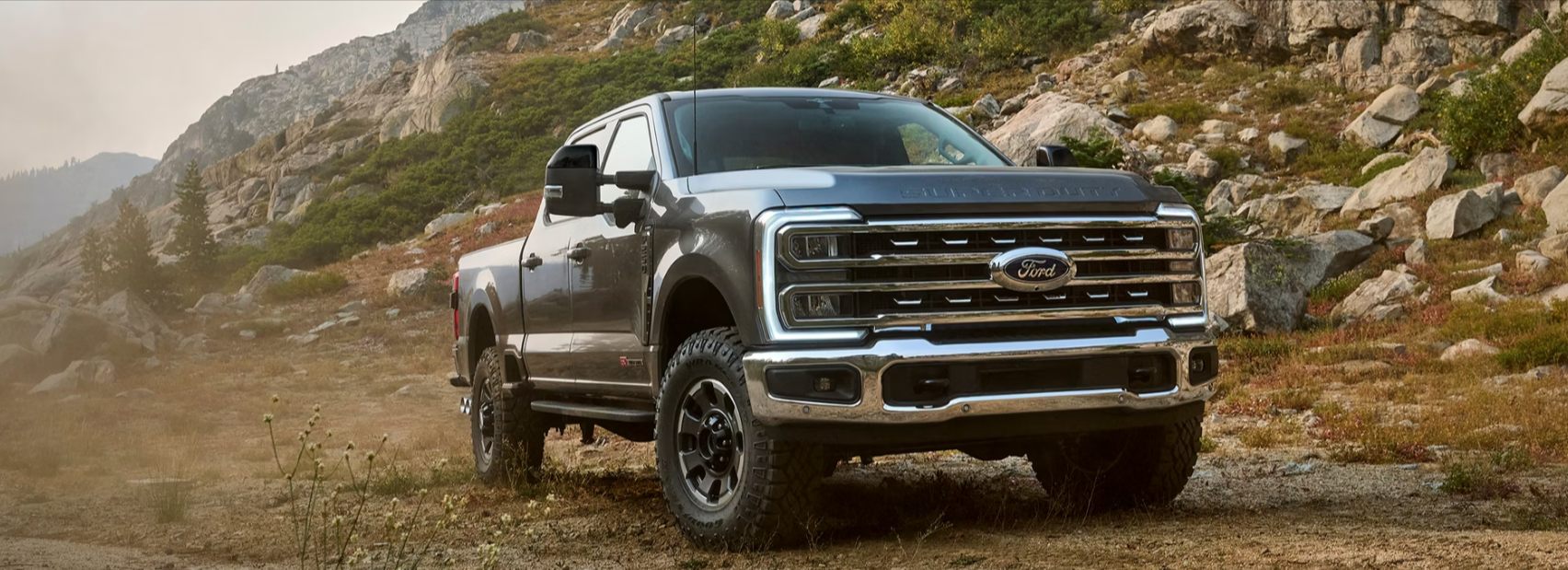 Used Ford F-250 Super Duty for Sale near Abbeville, AL